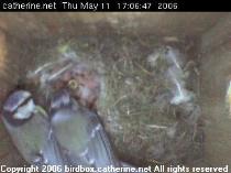thm_200605111706491.jpg