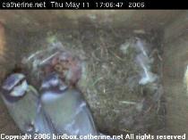 thm_200605111706492.jpg