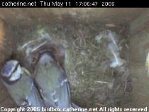 thm_200605111706494.jpg