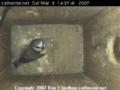 thm_200703031437431.jpg
