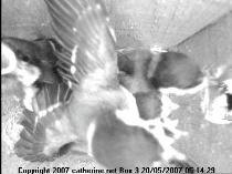 thm_200705200514291.jpg