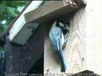 thm_200705201604291.jpg