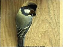 thm_200705201006314.jpg