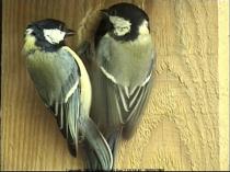 thm_200705201018421.jpg