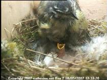 thm_200705101233201.jpg