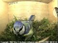 thm_200704010803433.jpg