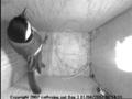 thm_200704010854112.jpg