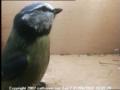 thm_200704011001382.jpg