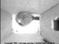 thm_200704032200161.jpg