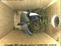 thm_200704041907073.jpg