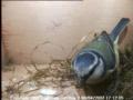thm_200704081712051.jpg