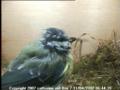 thm_200704110644391.jpg