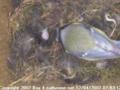 thm_200704120703121.jpg