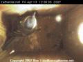 thm_200704131209331.jpg