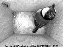 thm_200802031157571box3.jpg