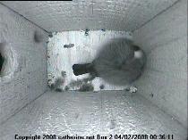thm_200802040036111box3.jpg