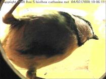 thm_200802041006111box5.jpg