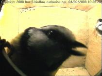 thm_200802041029291box5.jpg