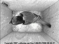thm_200802060830271box2.jpg