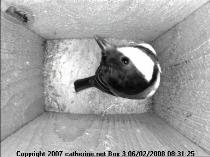 thm_200802060831251box2.jpg