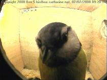 thm_200802070920142box5.jpg
