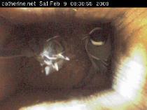 thm_200802090831001box1.jpg