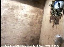 thm_200802091056292box7.jpg