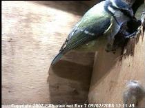 thm_200802091211491box7.jpg