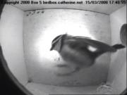 thm_5-200803151748551.jpg