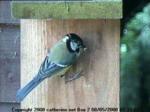 thm_1a-200805080733074.jpg