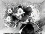 thm_3-200805141511081.jpg