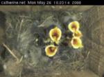 thm_200805261620171.jpg