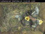 thm_200805281825451.jpg