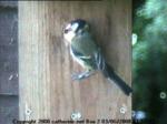 thm_200806031157572.jpg