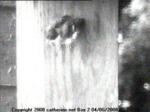 thm_200806040515163.jpg