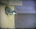 thm_4-200805201010064.jpg