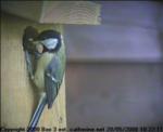 thm_8-200805201022111.jpg