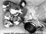 thm_i-200805200922591.jpg