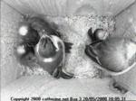 thm_i-200805201005311.jpg