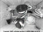 thm_i-200805201010241.jpg
