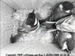 thm_i-200805201010361.jpg
