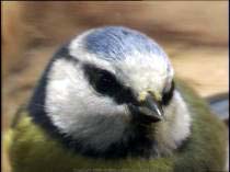thm_Box_7_20080331_115126_21c.jpg