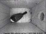 thm_200902181624473.jpg