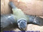thm_200903181305591.jpg