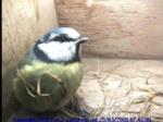 thm_200903250742002.jpg