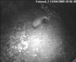 thm_200904132056301.jpg