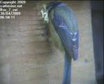 thm_200904300604111.jpg