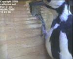 thm_200905061043103.jpg
