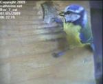 thm_200905070622151.jpg