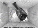 thm_200903310834311.jpg